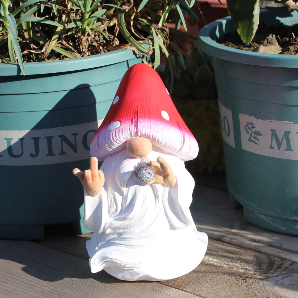 Mushroom Smoking Gnomes Funny  - Home Bargains recensione e prezzo